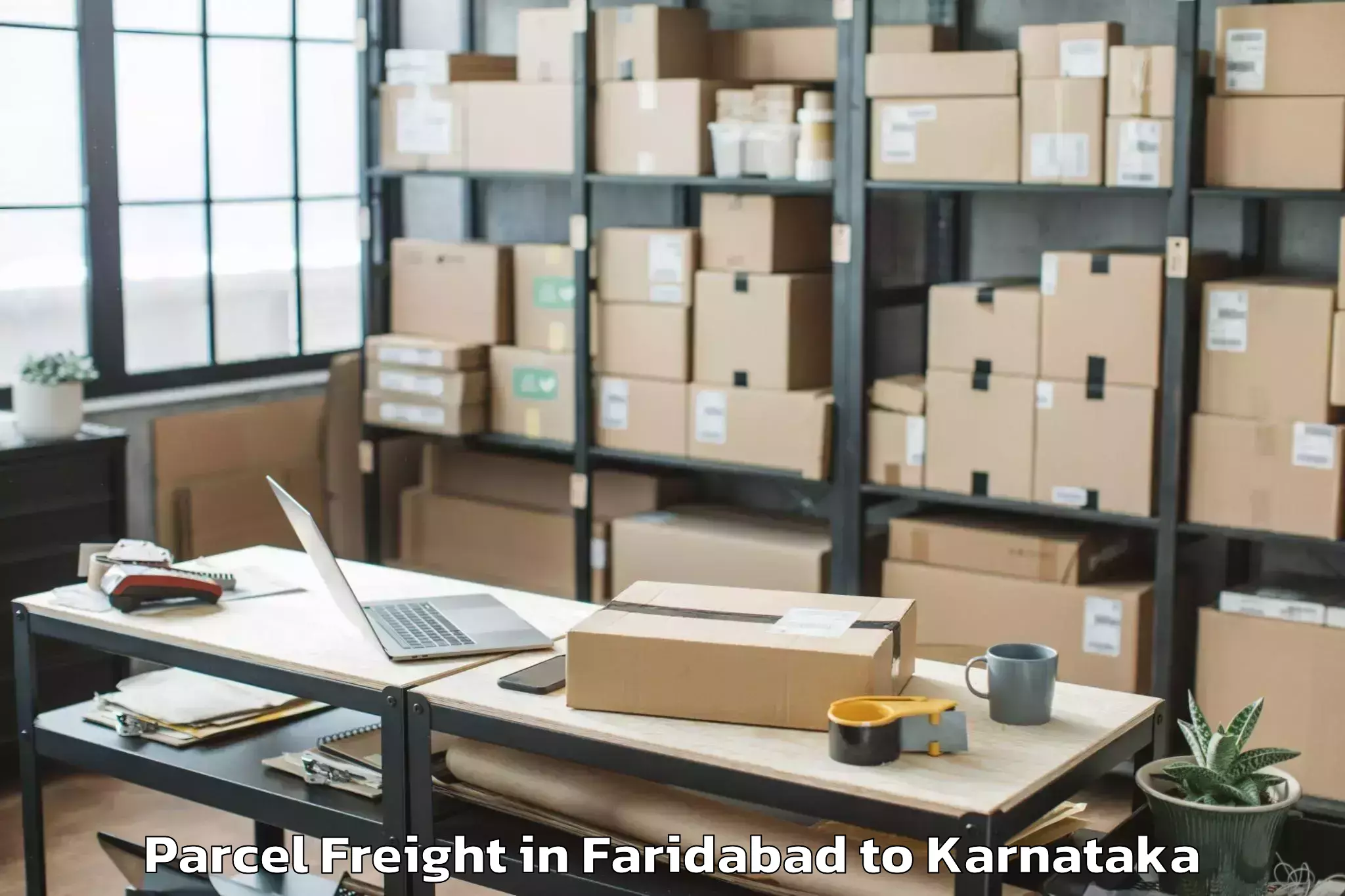 Easy Faridabad to Karempudi Parcel Freight Booking